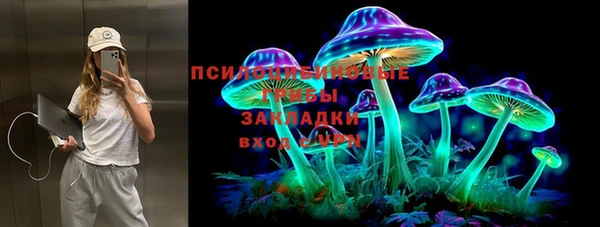 прущие крисы Инсар