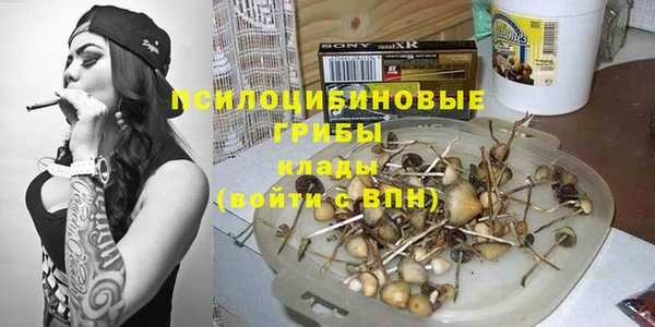 прущие крисы Инсар