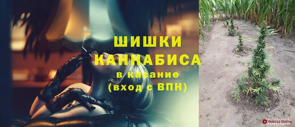 прущие крисы Инсар